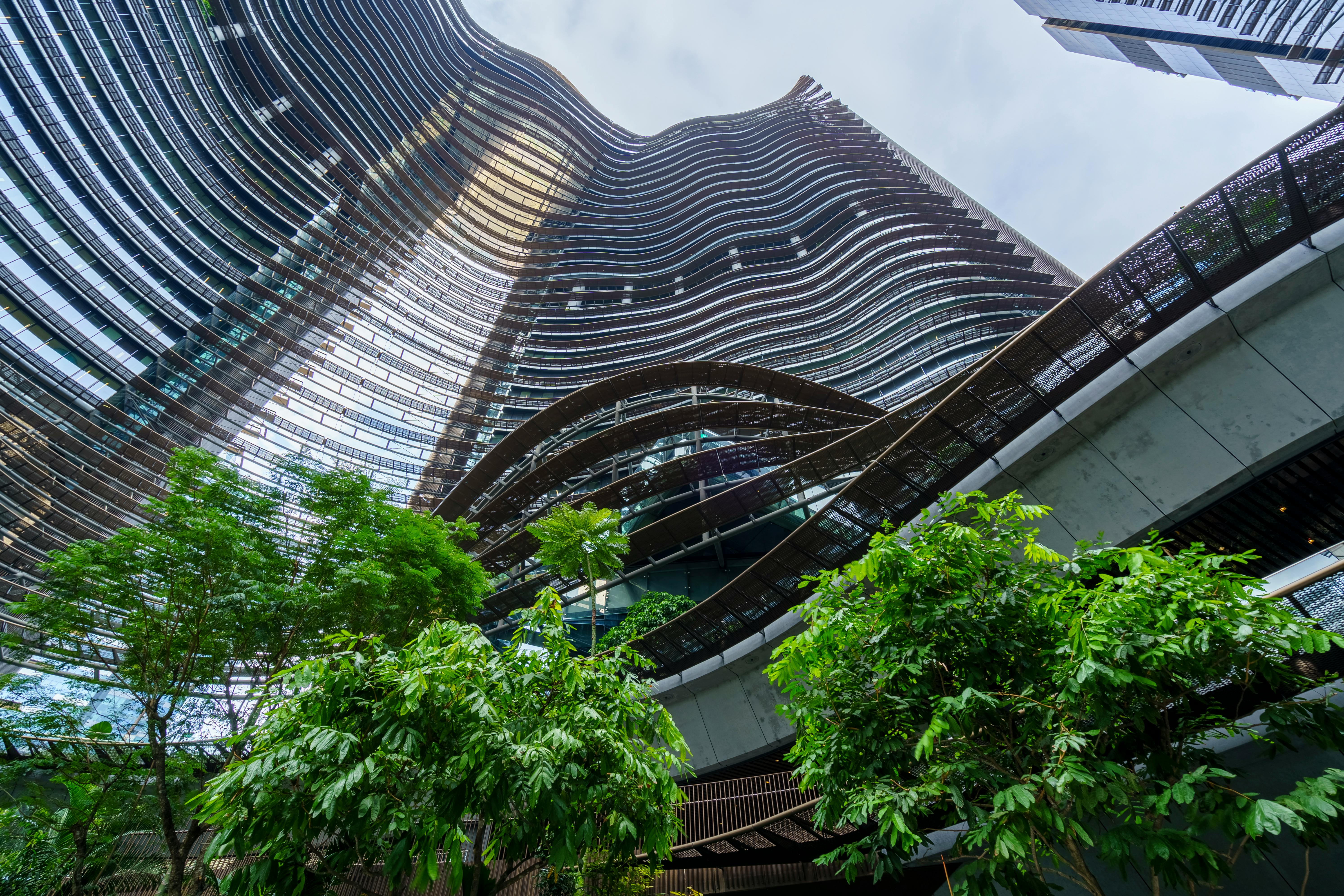 corporate governance esg corporate governance essay — Photo by Cyrill on Pexels