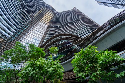 Low Angle Shot of Trees and Modern Skyscrapers in Singapore 