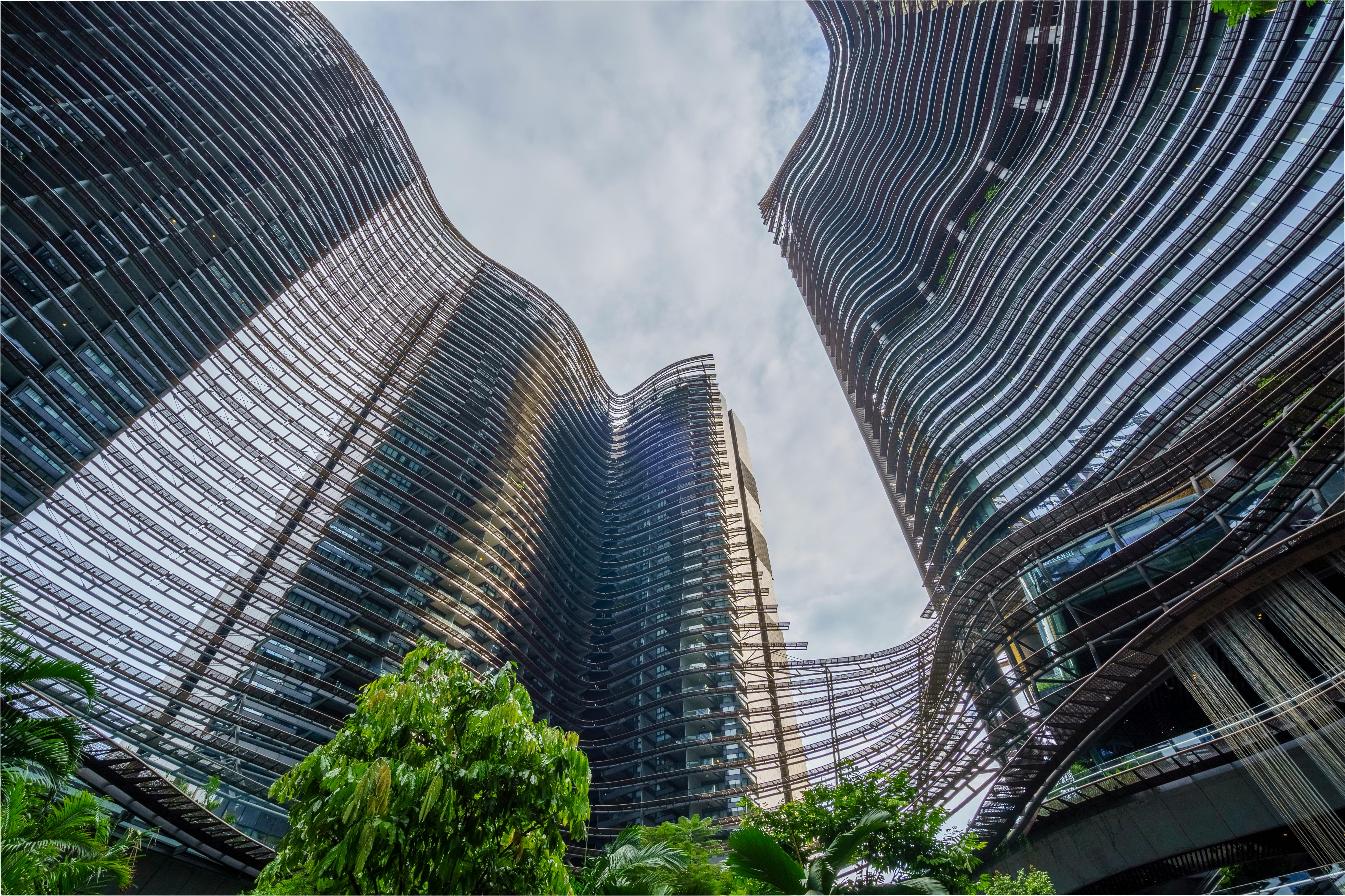 IT and Environmental, Social, and Corporate Governance (ESG), Part One: A CEO and Board Concern — Photo by Cyrill on Pexels