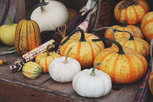 Calabazas Blancas Y Naranjas En Mesa De Madera Marrón