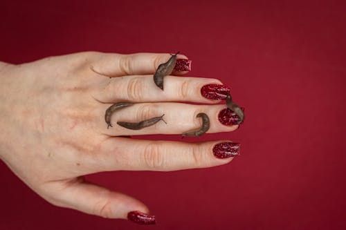 Darmowe zdjęcie z galerii z czerwone tło, kobieta, manicure