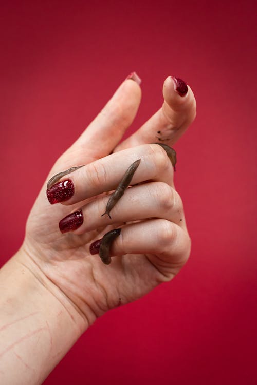 Slugs on Womans Palm