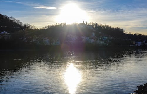 Foto profissional grátis de árvores, brilhante, brilho do sol