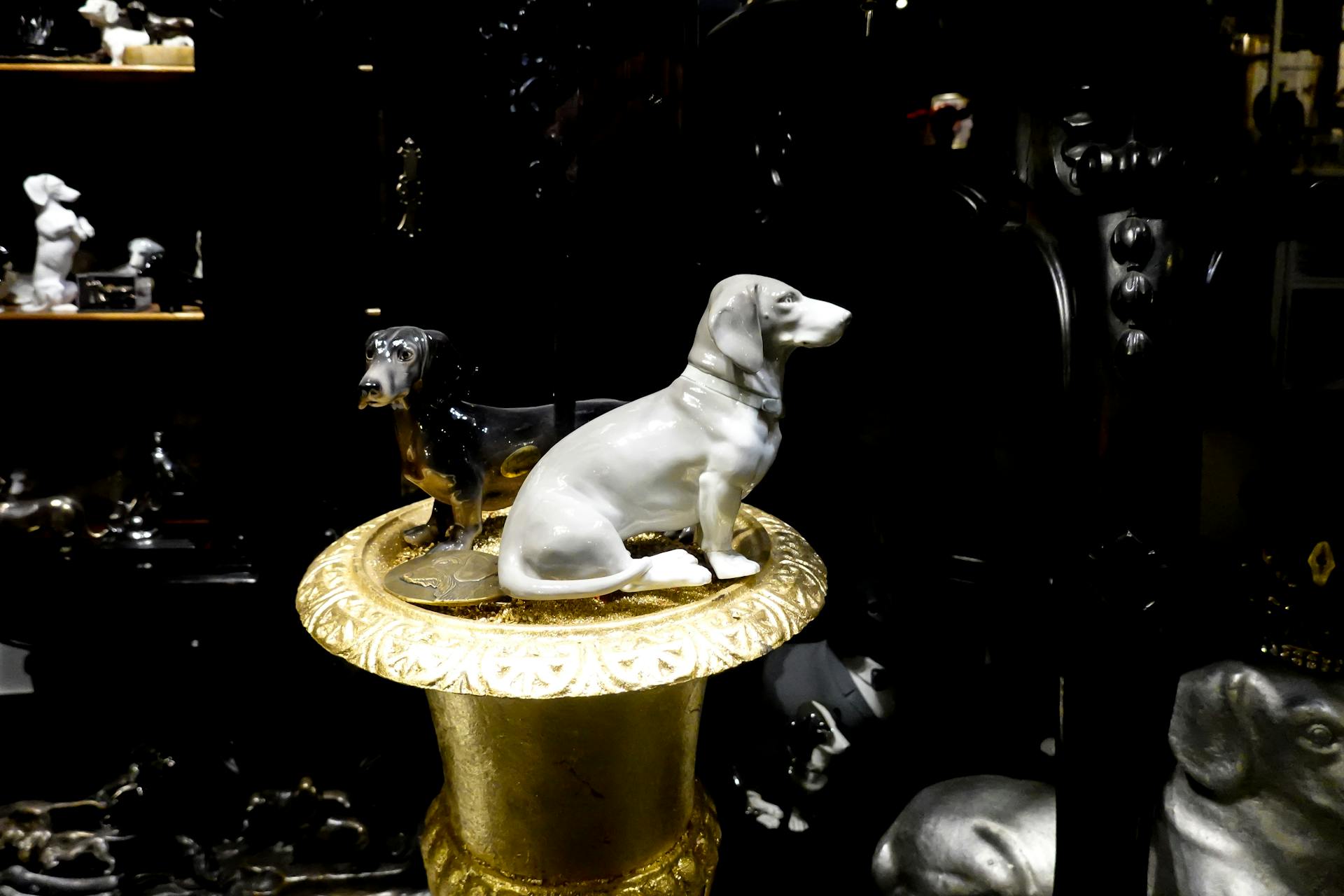 Dog Figurines in a Room