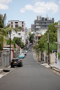 A quiet residential street lined with cars and trees in an urban setting.