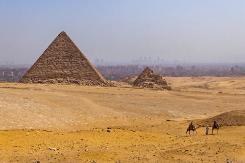 Бесплатное стоковое фото с верблюды, гиза, египет
