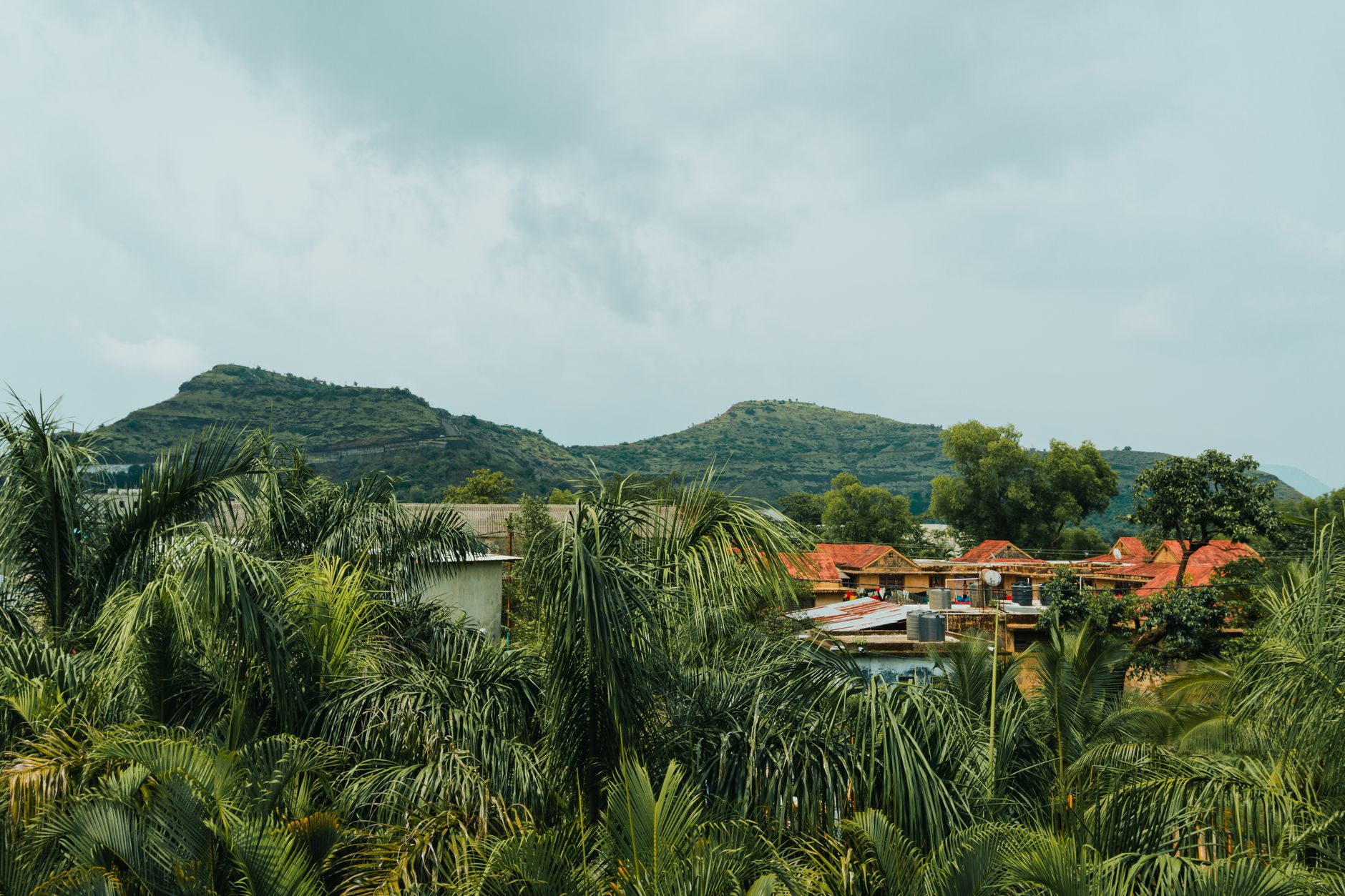 Saputara