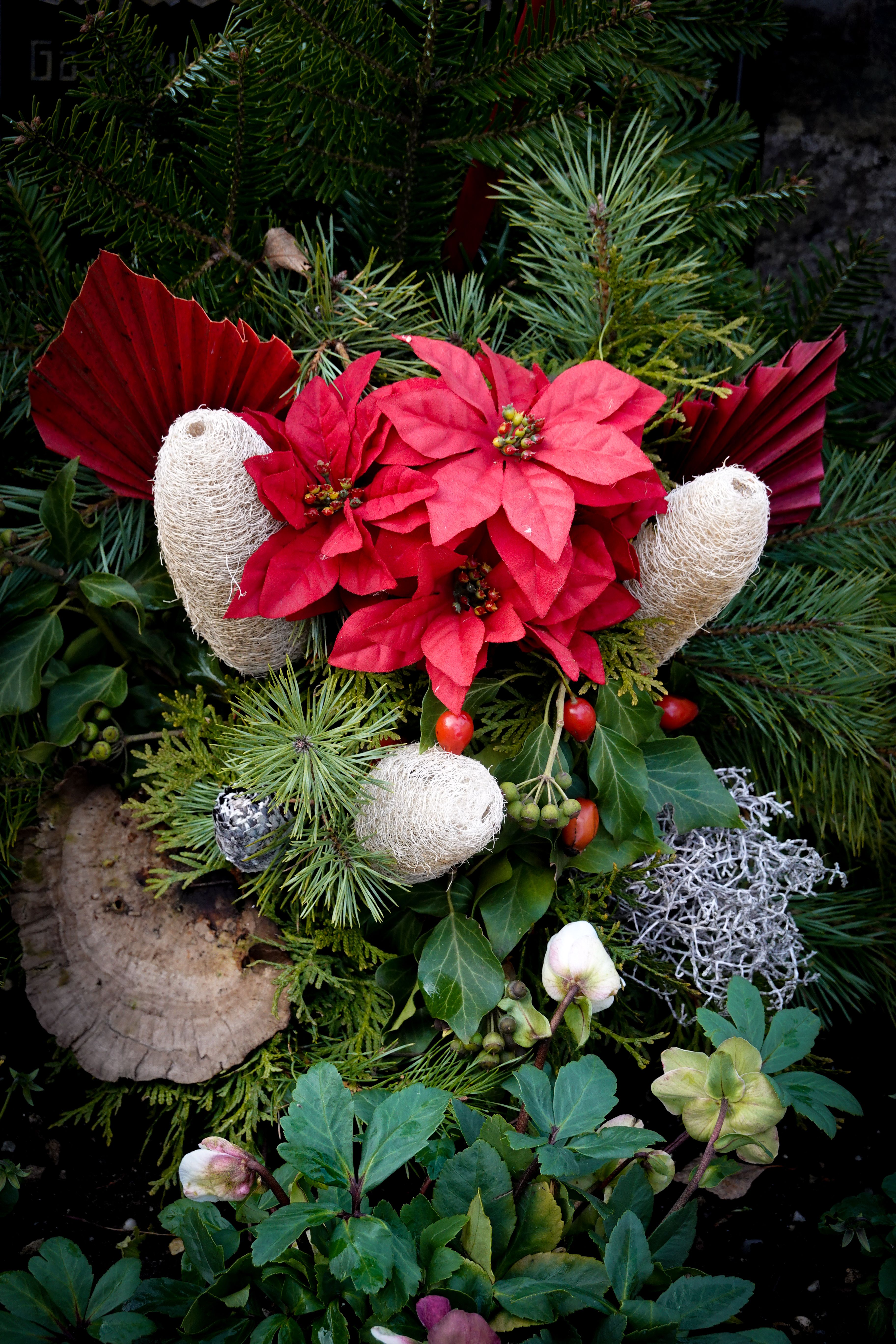 Poinsettia Christmas decoration