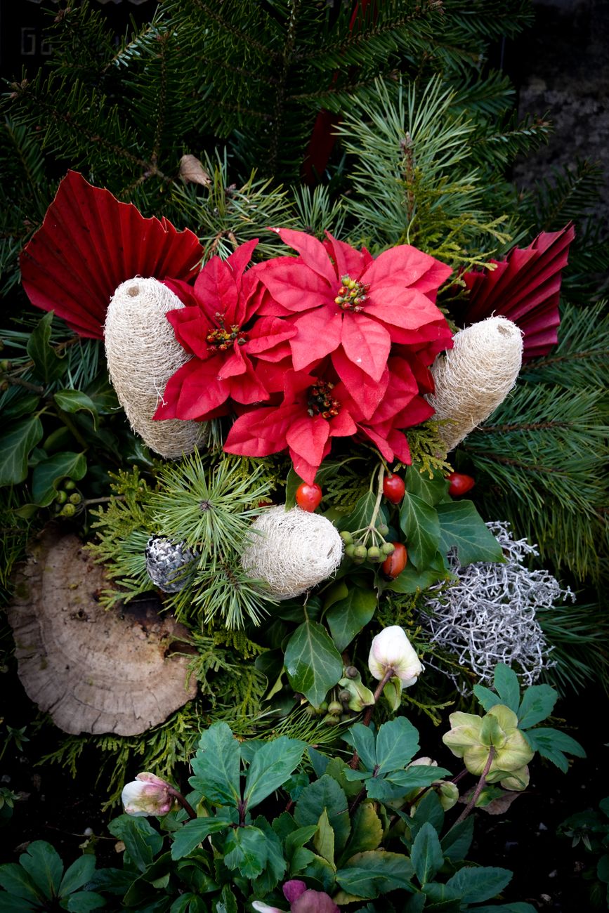 Poinsettia Christmas decoration