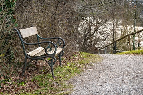 A Bench next to a Pathway in a Park 