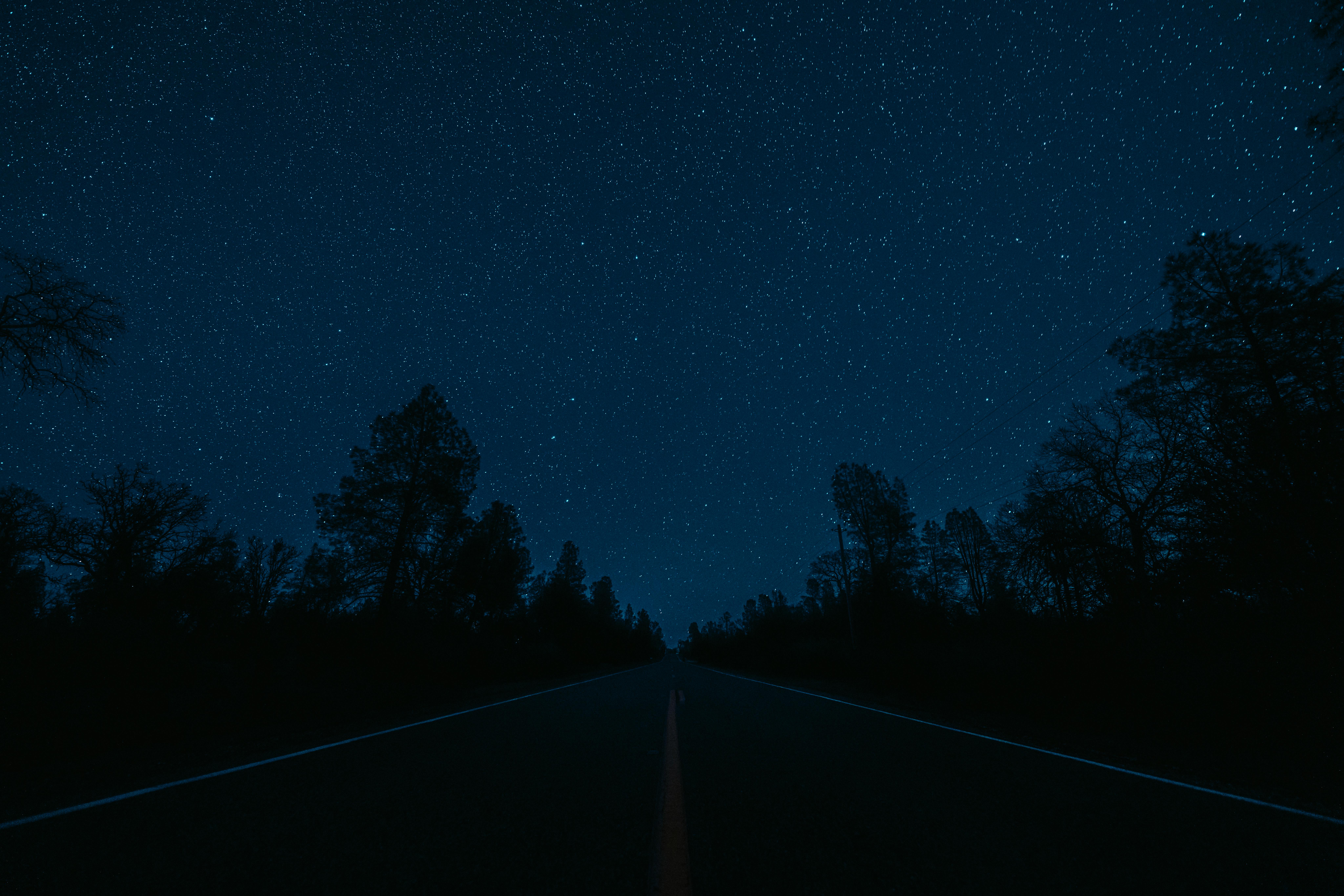A tranquil starry sky above a silhouetted forest flanking an empty road at night.