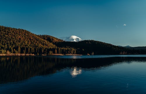 Základová fotografie zdarma na téma břeh jezera, jezero, krajina