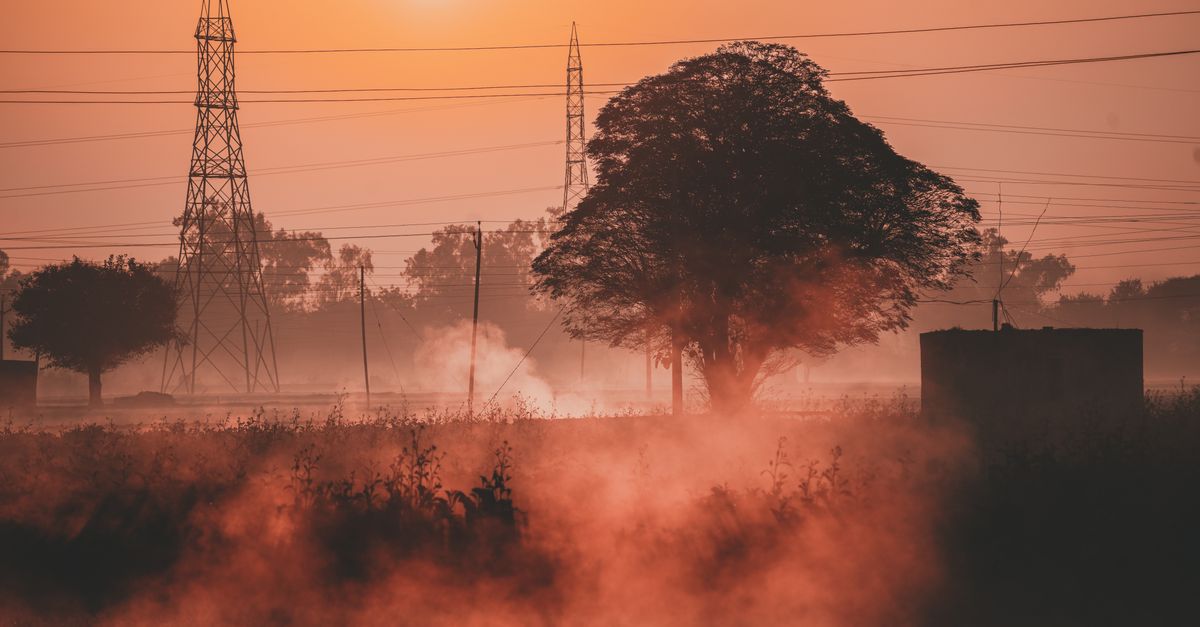 Heatwaves' Hidden Toll: Unveiling Their Impact on Public Health