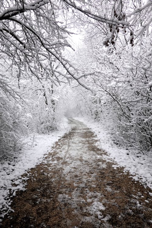 Fotobanka s bezplatnými fotkami na tému cestovať, chodník, krajina