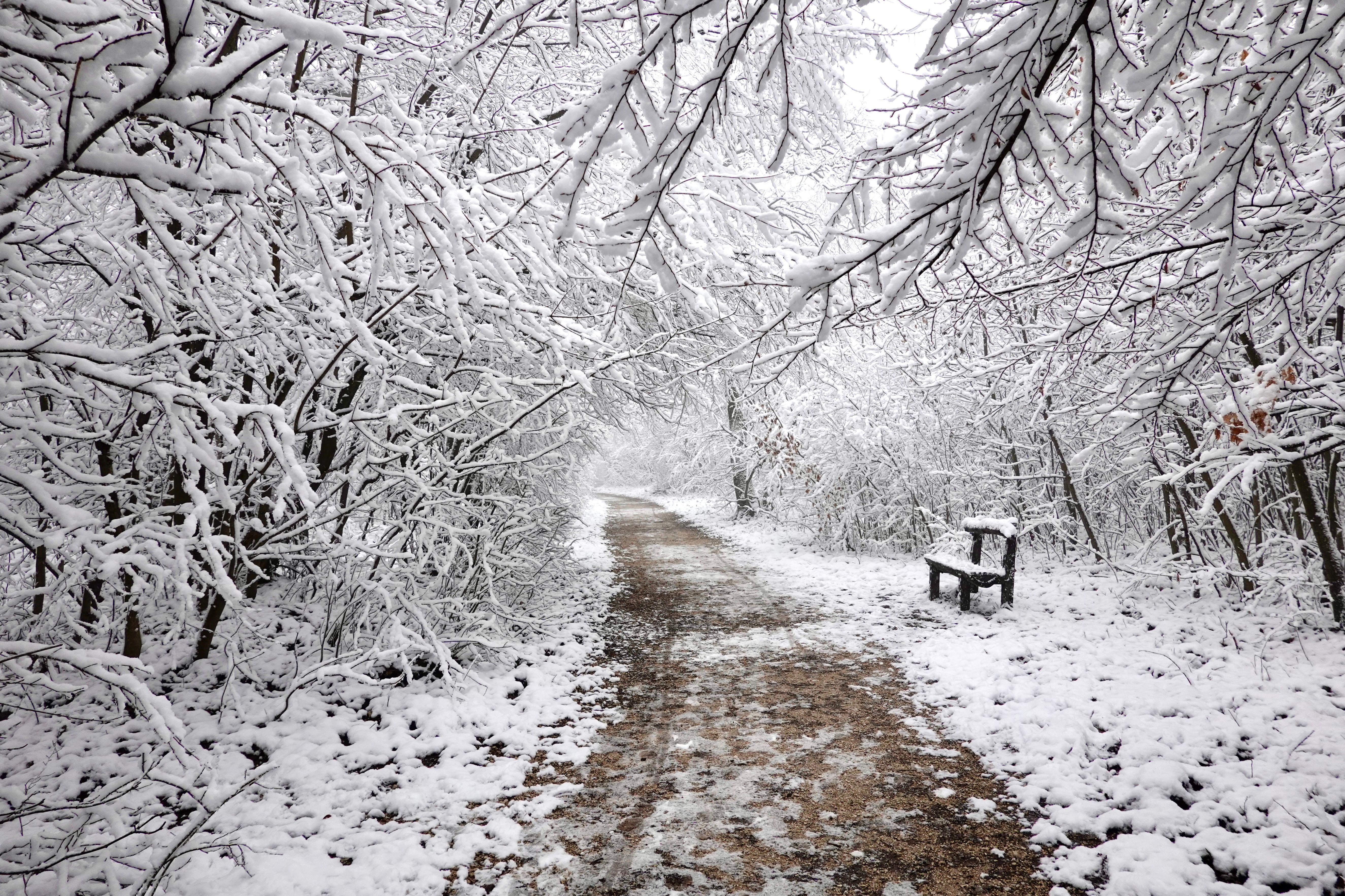 Healthspan White Paper: The Data-Driven Path to Longevity — Photo by Krisztina Papp on Pexels