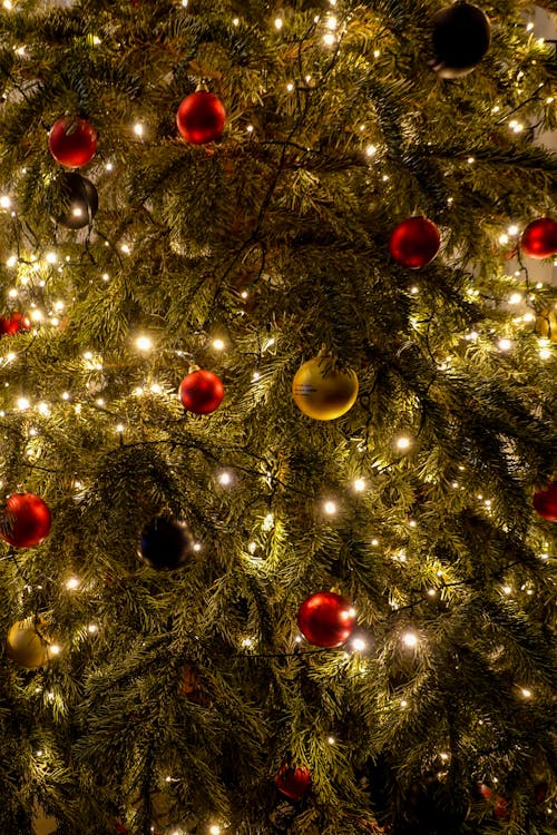 Close-up of Ornaments and Lights on a Christmas Tree