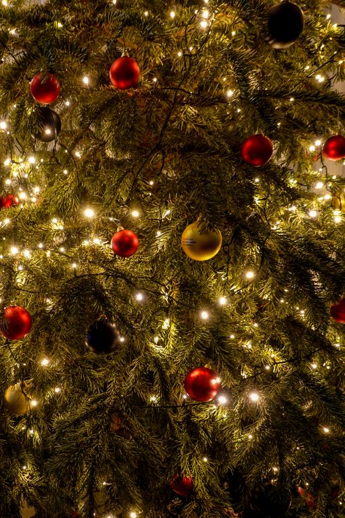 Free Close-up of a beautifully lit Christmas tree adorned with festive baubles and twinkling lights. Stock Photo