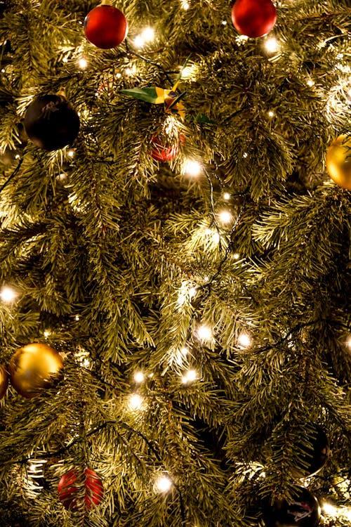 クリスマス, ライト, 垂直ショットの無料の写真素材