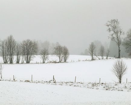 A serene winter scene featuring a snow-covered field with sparse trees and a foggy horizon.