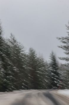 Blurred motion of a snow-covered road winding through a dense conifer forest in winter.
