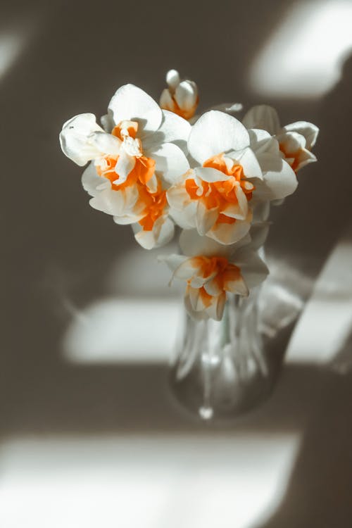 CLose-up of a Bouquet of Flowers in a Vase