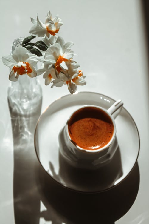 Základová fotografie zdarma na téma espreso, káva, květiny
