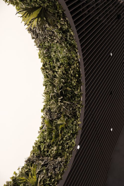 Free Stylish indoor vertical garden with integrated lighting and sleek design elements. Stock Photo