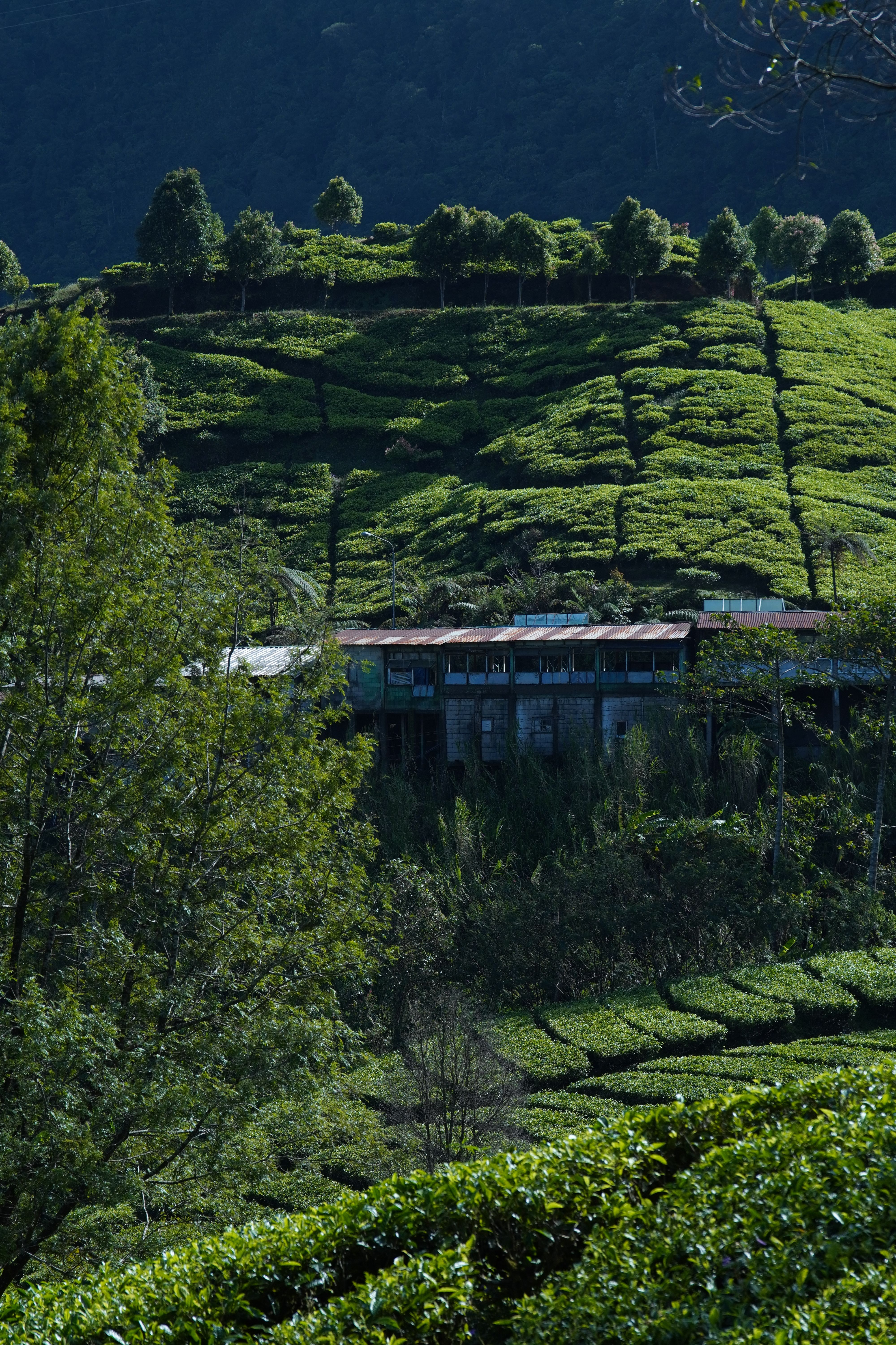 Rural Landscape with Farmhouse · Free Stock Photo