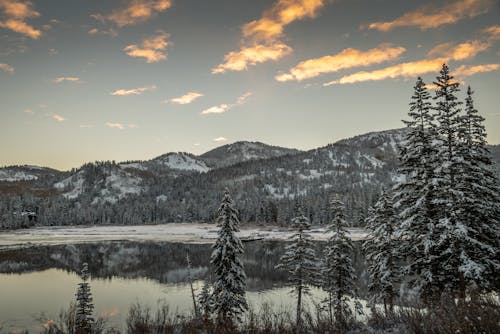 Free Scenic View Of Lake Stock Photo