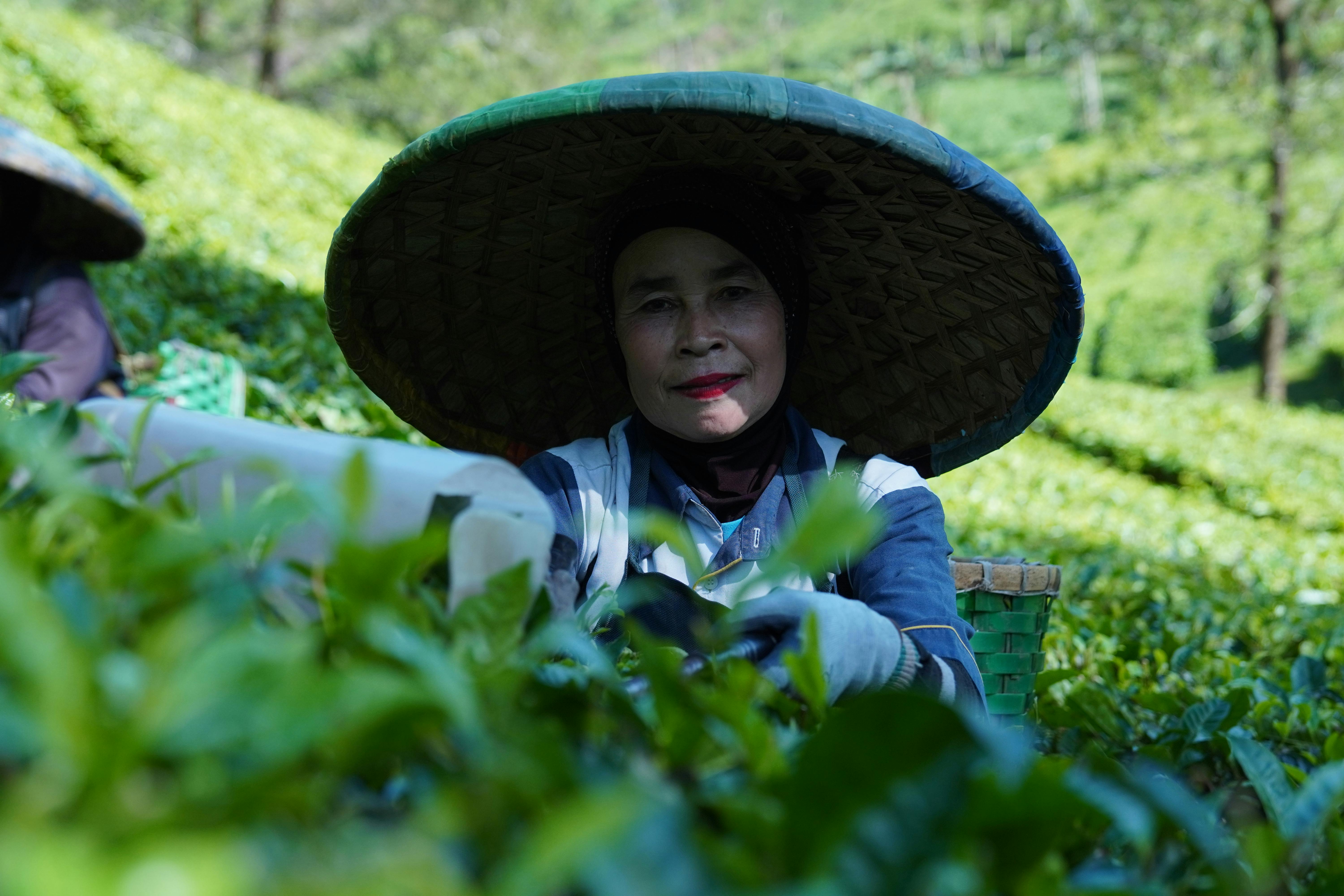 喝茶有什麼好處？從日常習慣看懂茶飲對身體與生活的影響