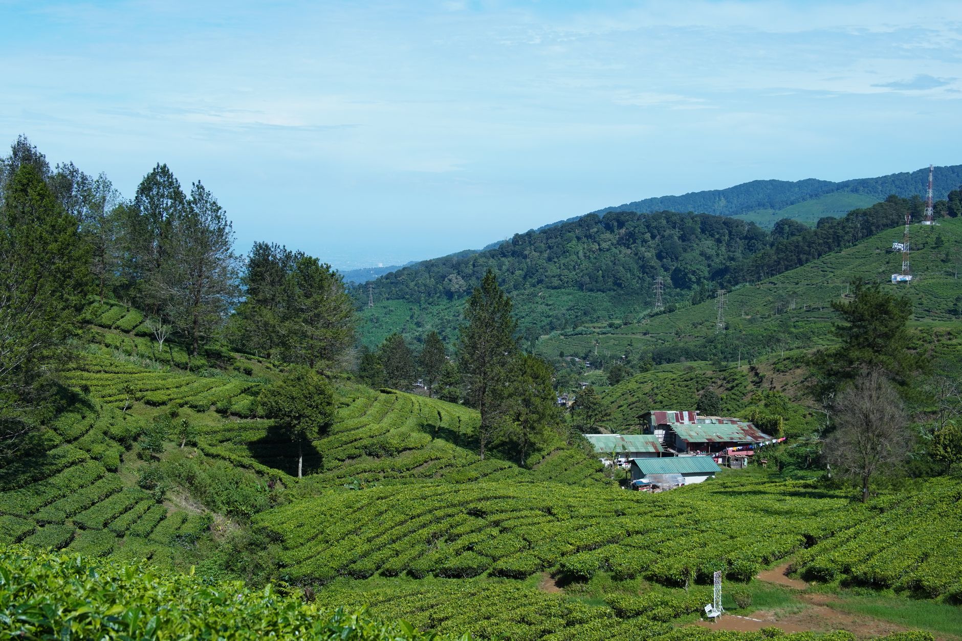 Pemandangan alam pegunungan asri yang merepresentasikan pilihan wisata antara Ciwidey atau Lembang Pemandangan alam pegunungan asri yang merepresentasikan pilihan wisata antara Ciwidey atau Lembang