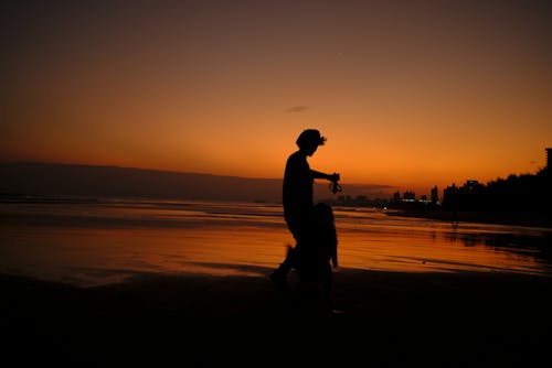 Silhouette of Man with a Dog on a Beach During Sunset