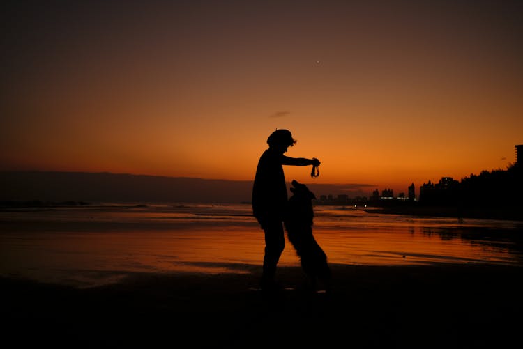 Silhouette Of Person And Dog On Beach