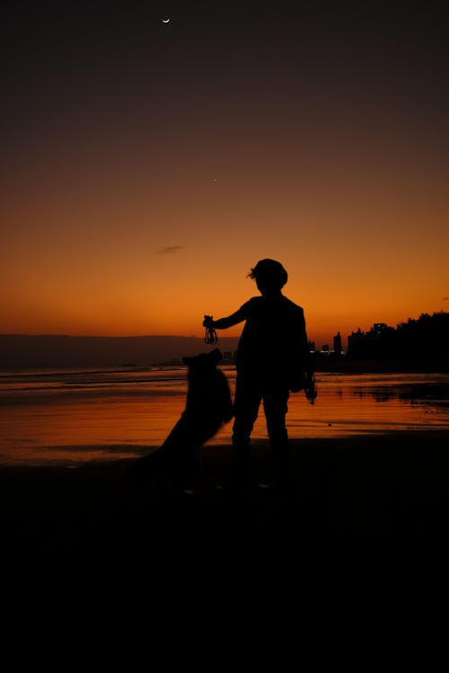 Silhouette of a Person and a Dog Standing near a Body of Water at Sunset