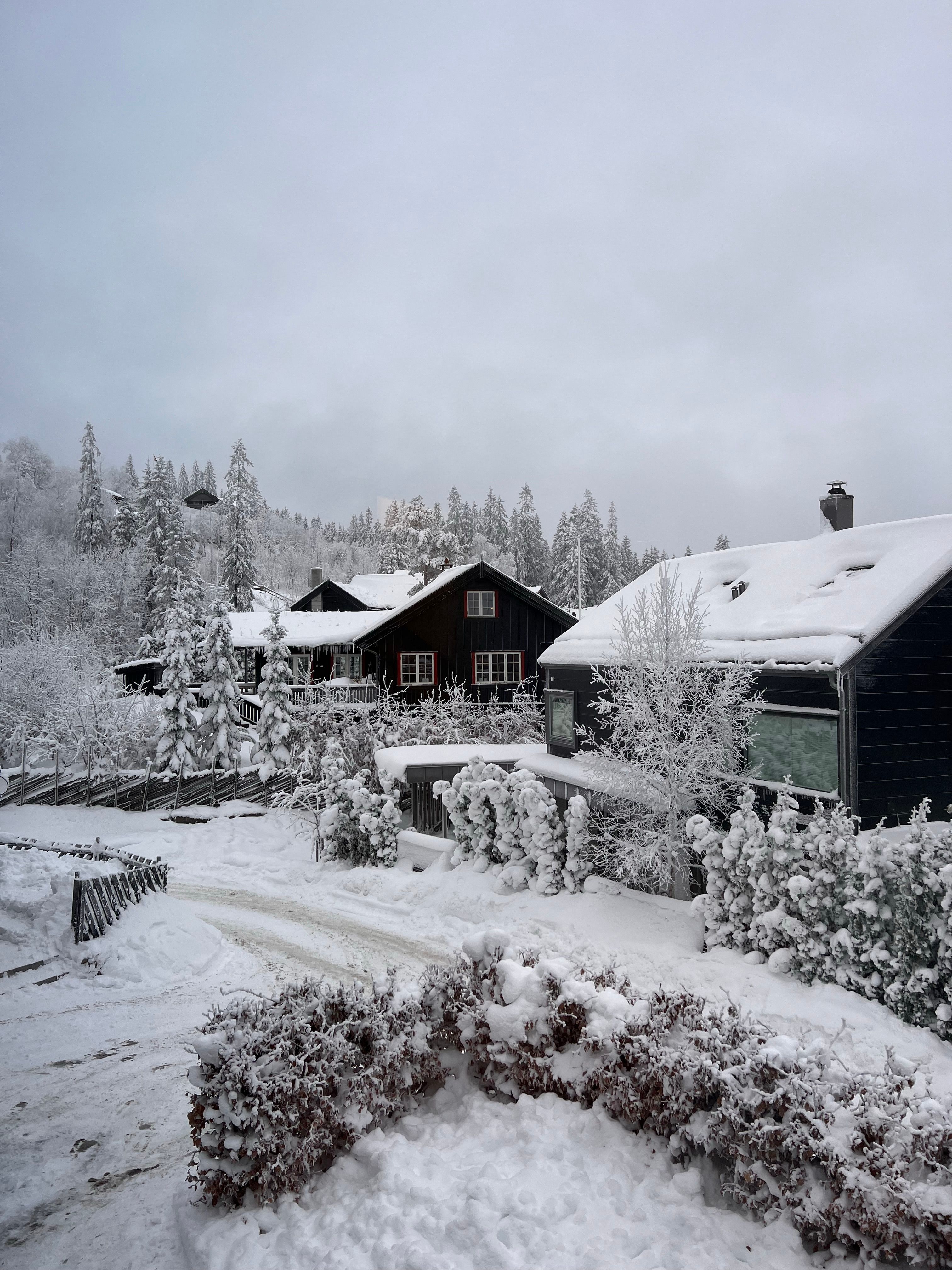 Houses on a Snow Covered Landscape · Free Stock Photo