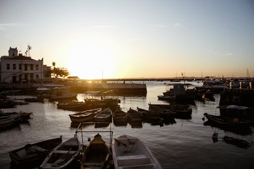 Boats Moored in Harbor at Dawn