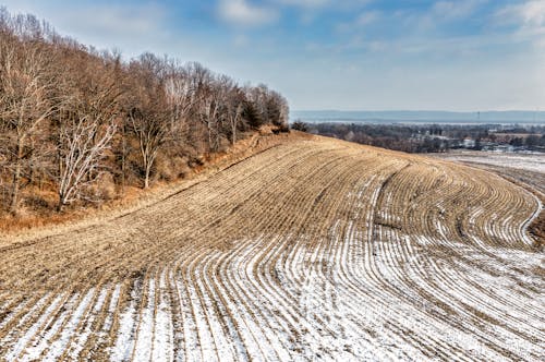 คลังภาพถ่ายฟรี ของ ชนบท, พื้นที่เกษตร, ฤดูหนาว