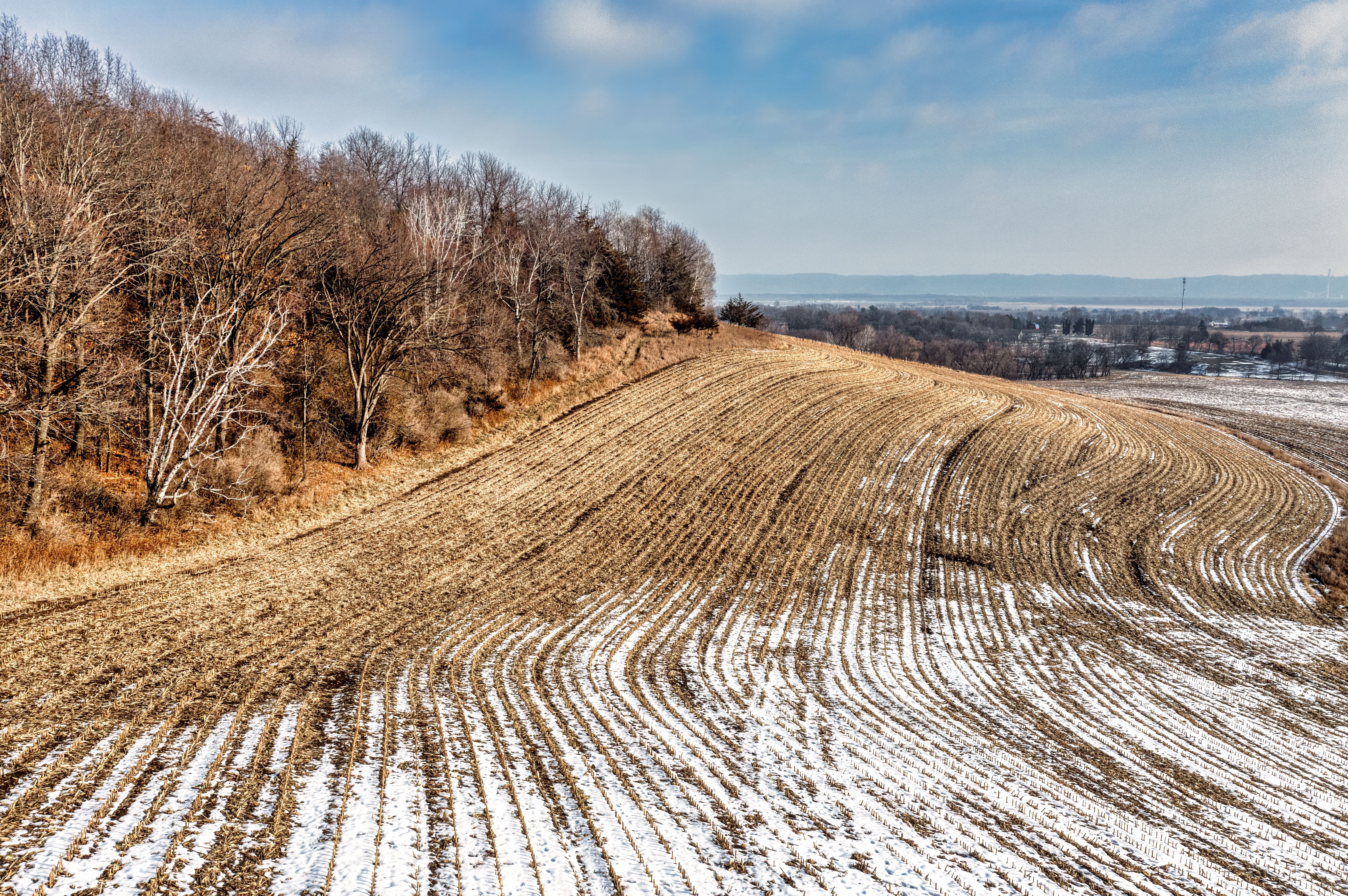 Field in Snow · Free Stock Photo
