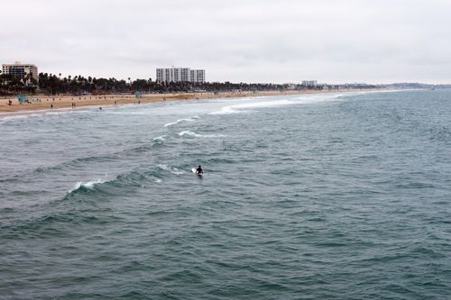Free A lone surfer rides gentle waves along the coast of Santa Monica beach under an overcast sky. Stock Photo