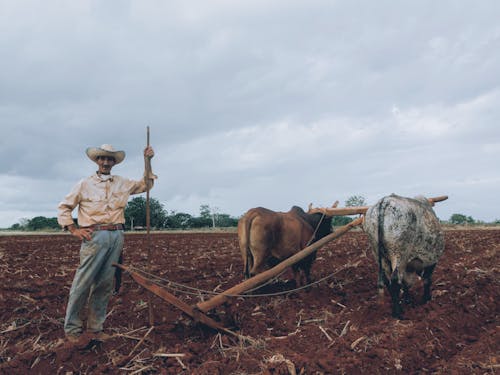 A Farmer Standing on Brown Soil