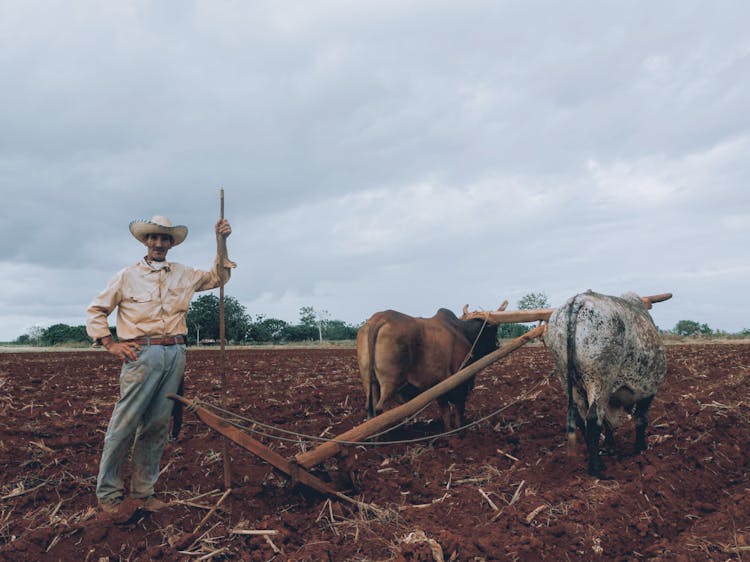 A Farmer Standing On Brown Soil