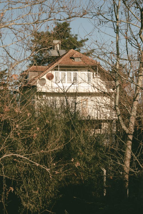 Foto profissional grátis de árvores, casa, casas
