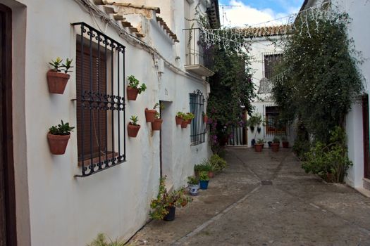 Picturesque street in Priego de Córdoba, Spain with potted plants and whitewashed buildings.