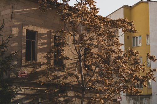 Fotobanka s bezplatnými fotkami na tému administratívna budova, fasáda, fasády