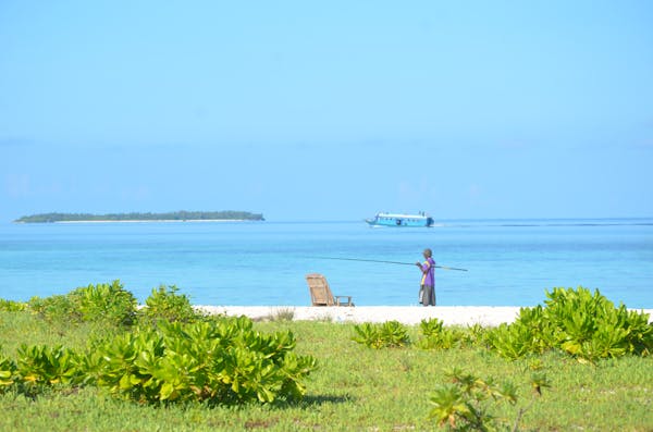 انواع بیسکویت خانگی