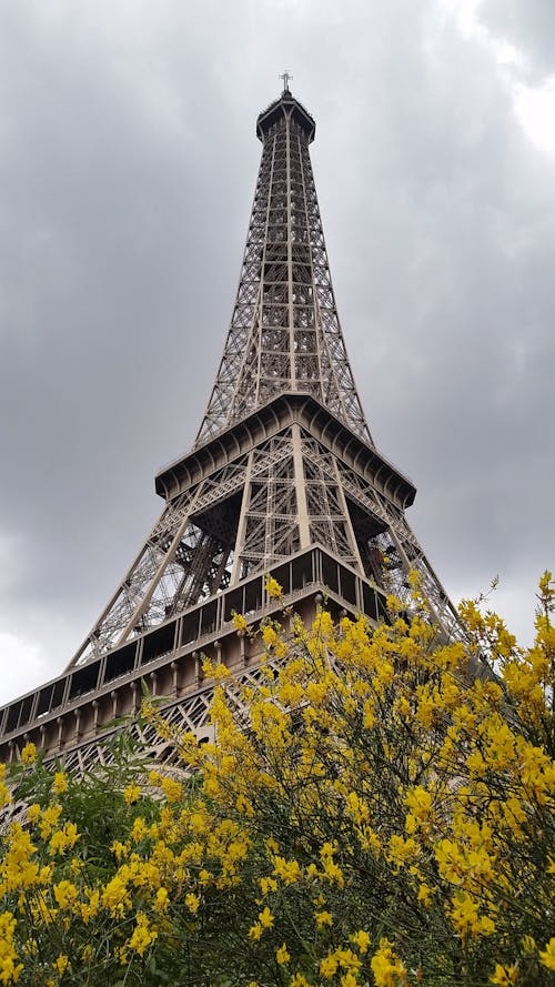 Ingyenes stockfotó Eiffel-torony témában
