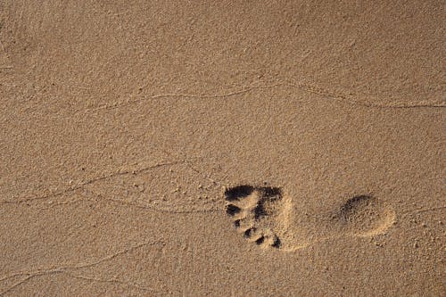 Free Footprint on Sand Stock Photo