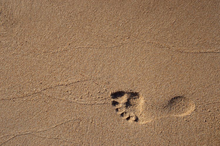 Footprint On Sand