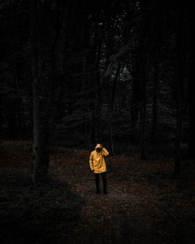 A person in a yellow raincoat walking in a dark forest in Istanbul, Türkiye.