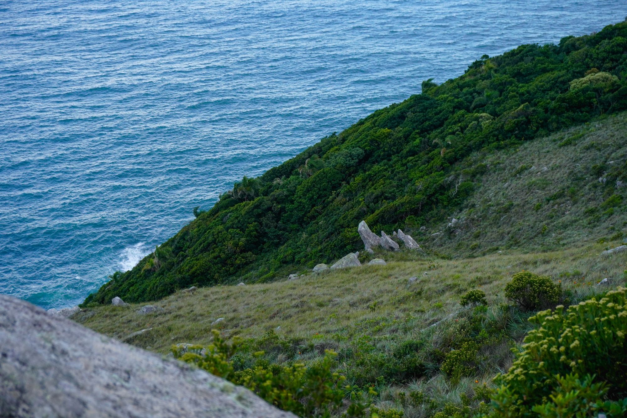 Florianópolis